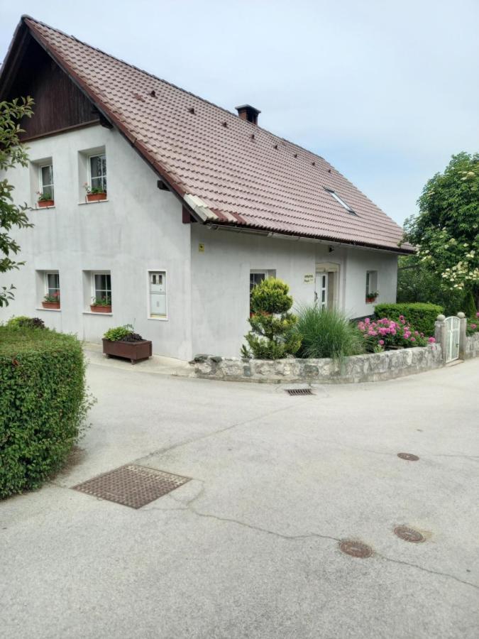 דירות Zgornje Gorje Apartmaji Magda מראה חיצוני תמונה